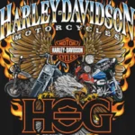 H-D Full Throttle Freedom H.O.G.Muscle Tee