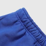 Close up view of the elastic waistband detail on the royal blue Hellstar No Guts No Glory shorts for men and women