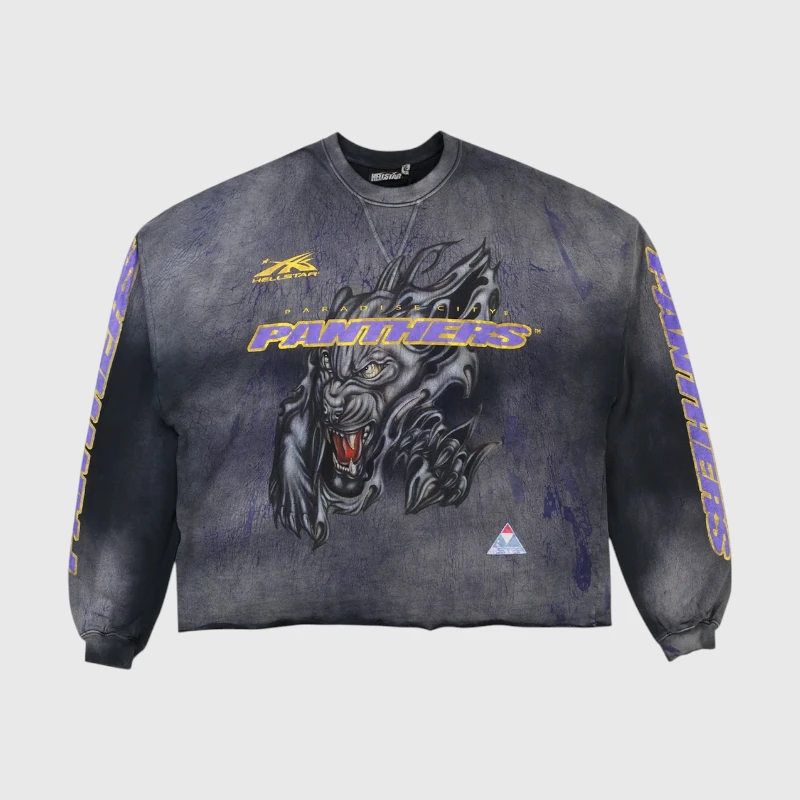 panthers.webp Hellstar Paradise City Panthers Sweater - Image 1